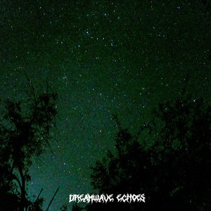 Dreamwave Echoes