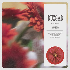 Rüzgar