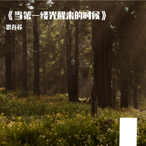 《当第一缕光醒来的时候》