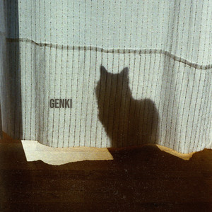 Genki