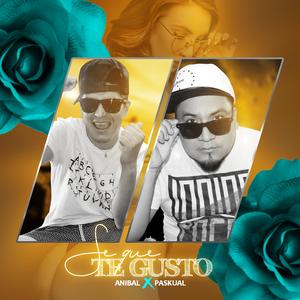 Se Que Te Gusto (feat. Anibal)
