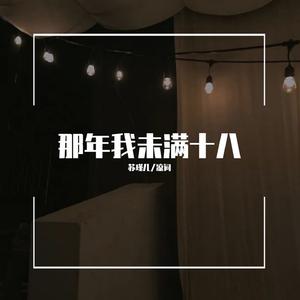 那年我未满十八