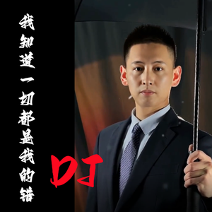 我知道一切都是我的错 (DJ版)