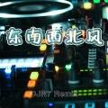 东南西北风 (DJ R7版)