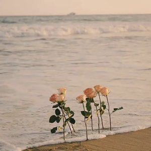 瓦尔德退费尔 - 溜冰圆舞曲.ape