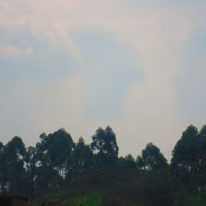 我要的生活 伴奏