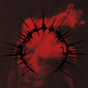 Shadow Twist (Slowed & Reverb)