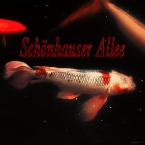 Schönhauser Allee