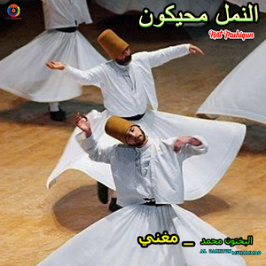 Ant Muhiqun