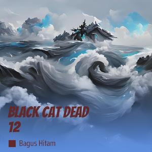 Black Cat Dead 12