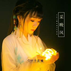 采晚风