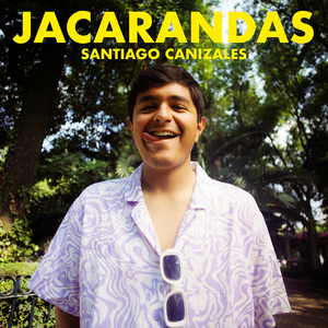 Jacarandas