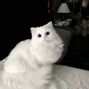眼泪