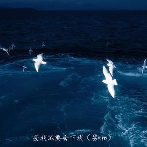爱我不要丢下我 (男R&B)