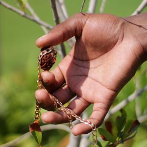 Overrated Avocadoes (feat. vu.she) (eaten with vu.she)