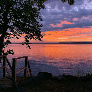 Starz（纯音乐）