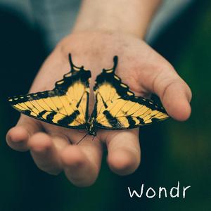 Wondr