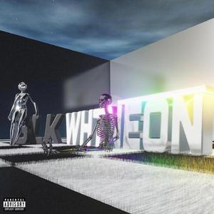 BLKWHTNEON