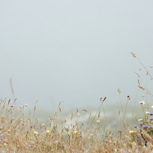 呜呼（Prod by Stephenday）