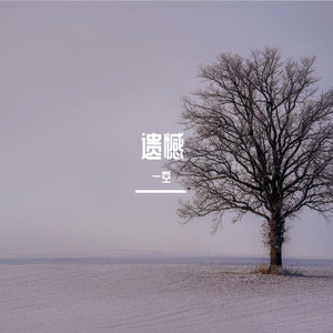 遗憾