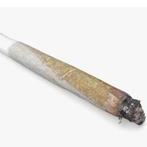 joint