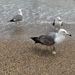 周二写完的周一朋克demo