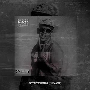 NOT MY FRIENDS REMIX (feat. Da L.E.S) (Remix)