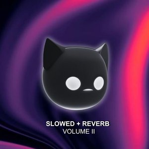 The Bad Touch (Slowed + Reverb)