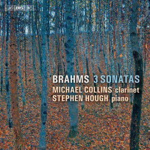 Violin Sonata No. 2 in A Major, Op. 100 "Thun" (Arr. M. Collins for Clarinet & Piano):III. Allegretto grazioso, quasi andante