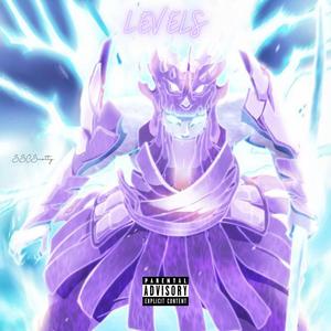 LEVELS