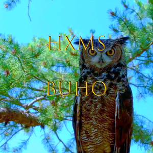 Búho