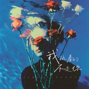 我执着的不是你