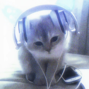 挂什么科？Music！（加速版）