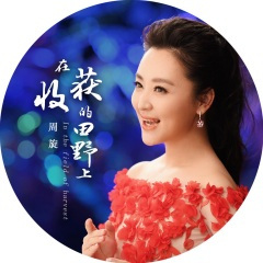 在收获的田野上