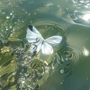 学习丨阅读丨刷题丨背书集中注意力轻音乐