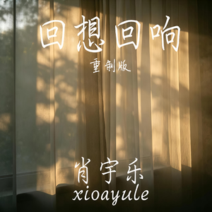 回想回响（重制版）