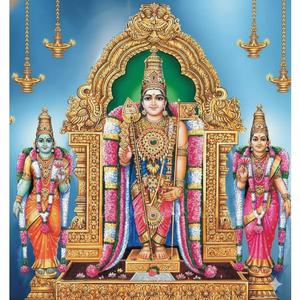 திருப்புகழ் 239 அமைவுற்று அடைய (திருத்தணிகை)