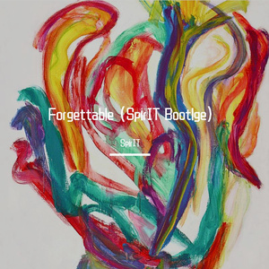 Project 46-Forgettable (SpirIT Bootlge)