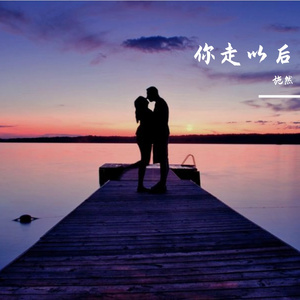 你走以后