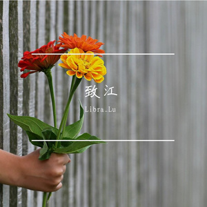 陈萧-致江love song（Libra_Lu remix）