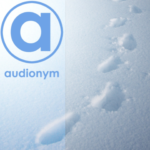 Footsteps, Snow, Jogging, Running, Loop