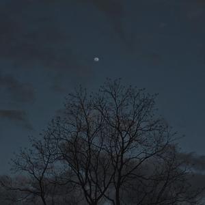 月亮粑粑