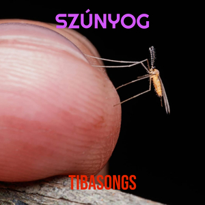 Szúnyog