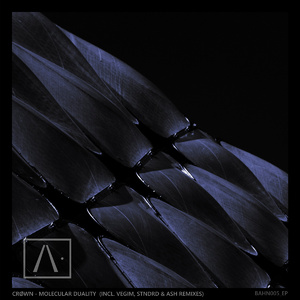 Molecules (Original Mix)