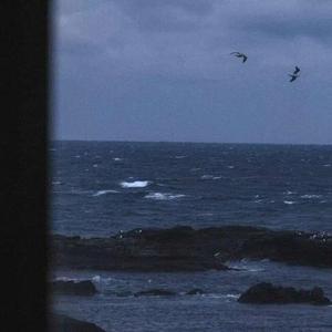 千秋迭梦+悦神（抖音版）