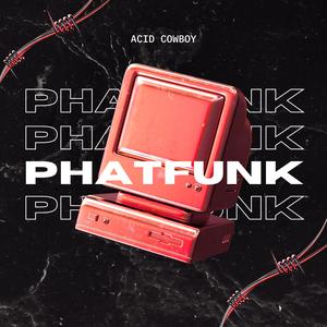 PhatFunk (Radio Edit)