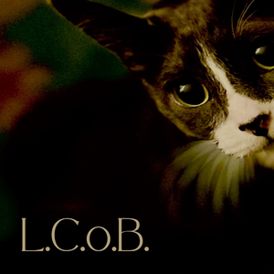 L.C.o.B.