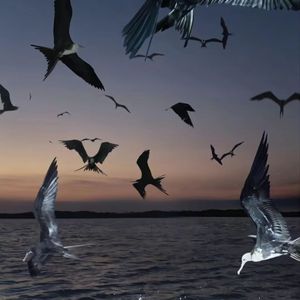 FREE "Pain" Rod Wave Type Beat