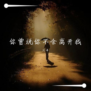 你曾说你不会离开我