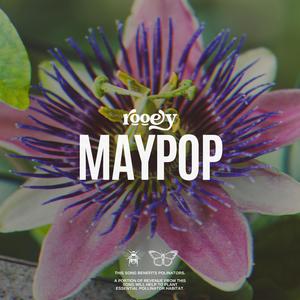 Maypop